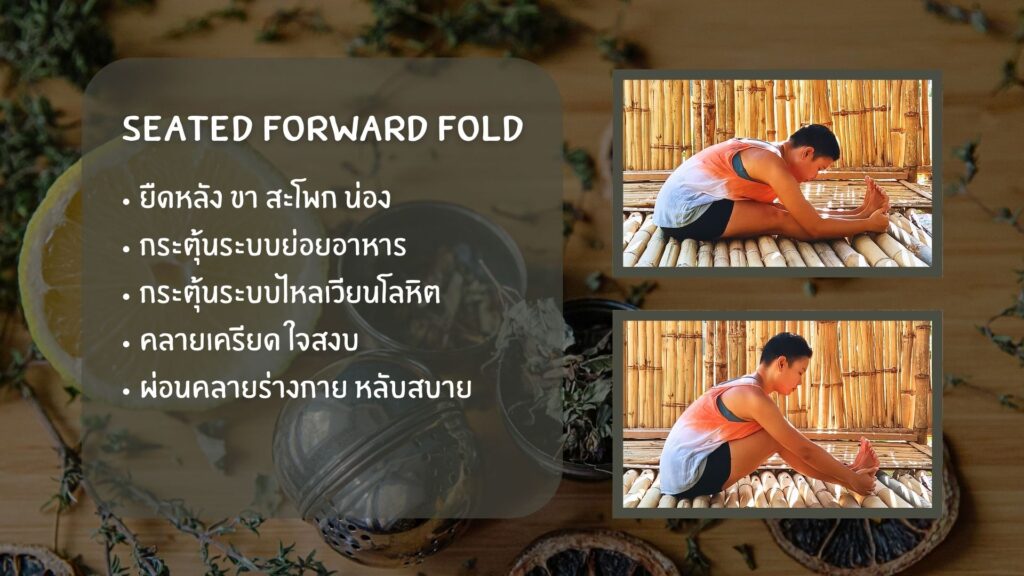 Seated Forward Fold