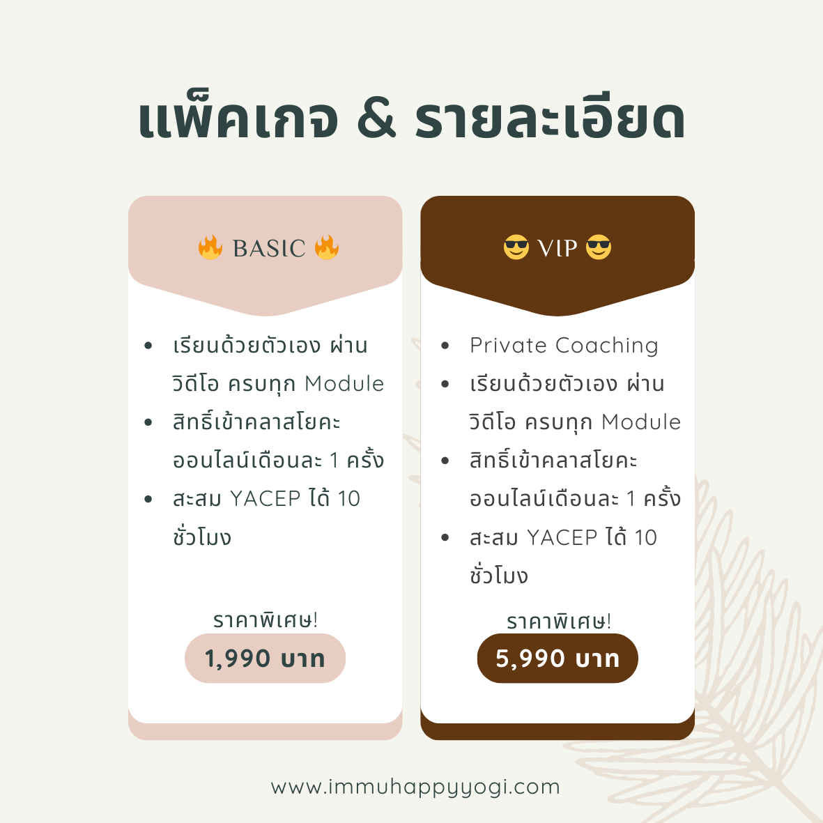 แพ็คเกจ & รายละเอียด
